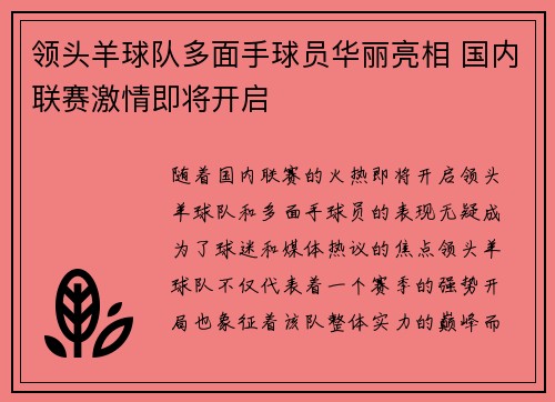 领头羊球队多面手球员华丽亮相 国内联赛激情即将开启